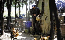 皖苏沪三地农业部门称未现动物h7n9流感疫情